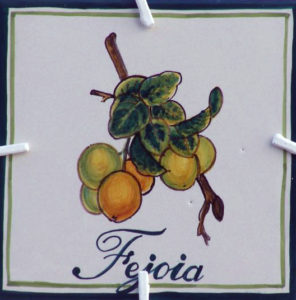 Logo-Fejoia